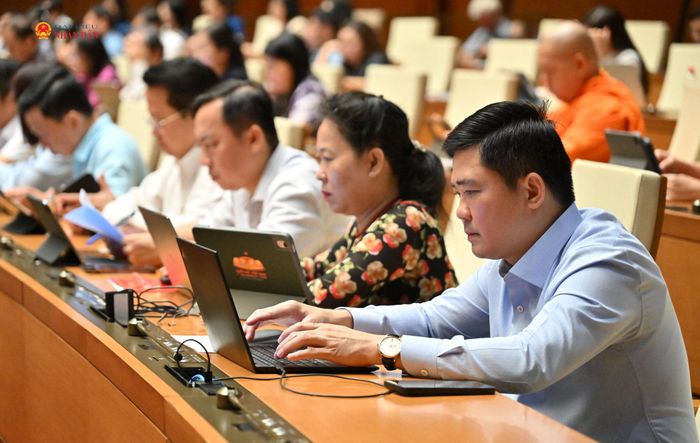 Các đại biểu dự phiên họp