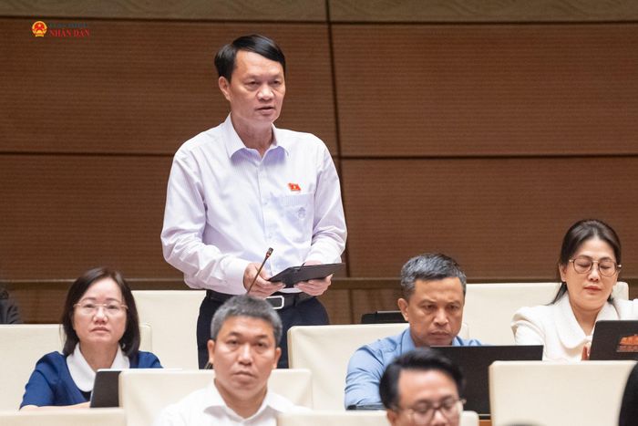 ĐBQH Lương Đình Hưng (Nghệ An) phát biểu