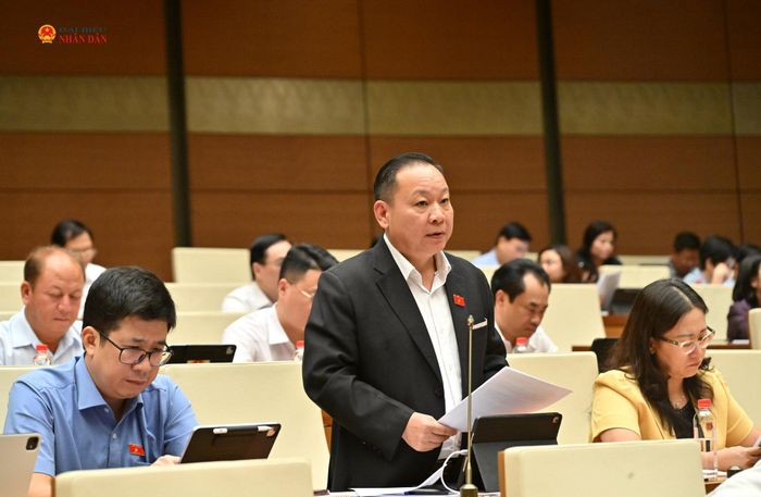 ĐBQH Tráng A Dương (Lào Cai) phát biểu