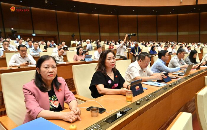 Các đại biểu dự phiên họp