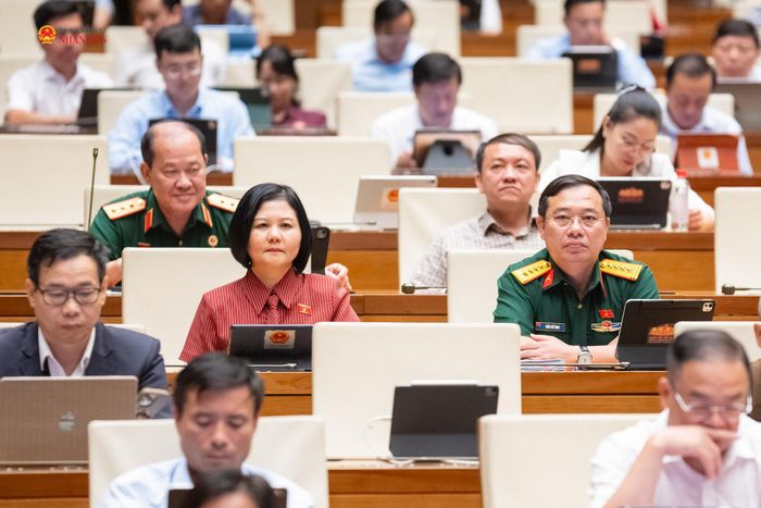 Các đại biểu dự phiên họp