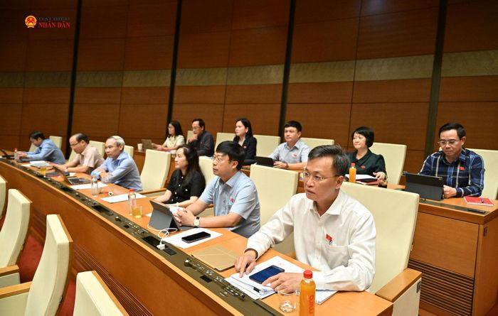 Các đại biểu dự phiên họp
