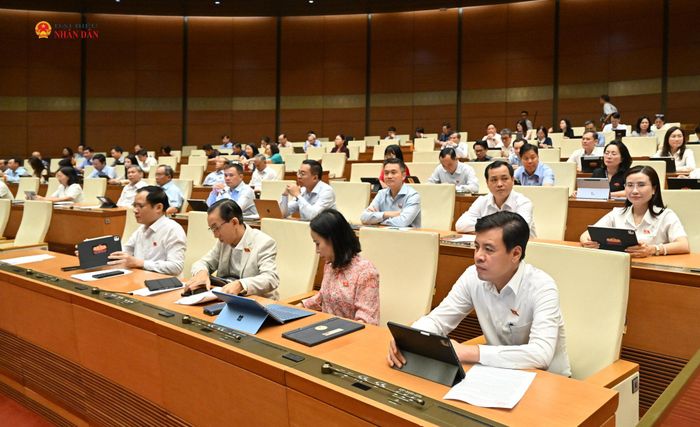 Các đại biểu dự phiên họp