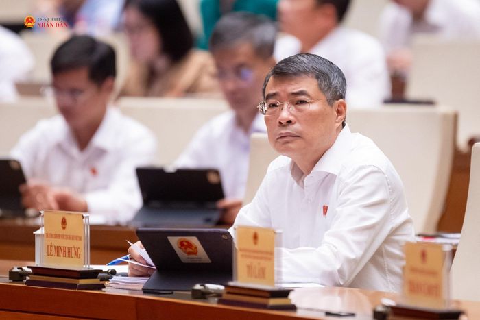 Thủ tướng Chính phủ Lê Minh Hưng dự phiên họp
