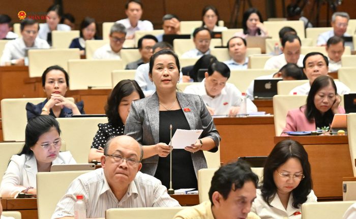 ĐBQH Đinh Thị Hồng Minh (Quảng Ngãi) phát biểu