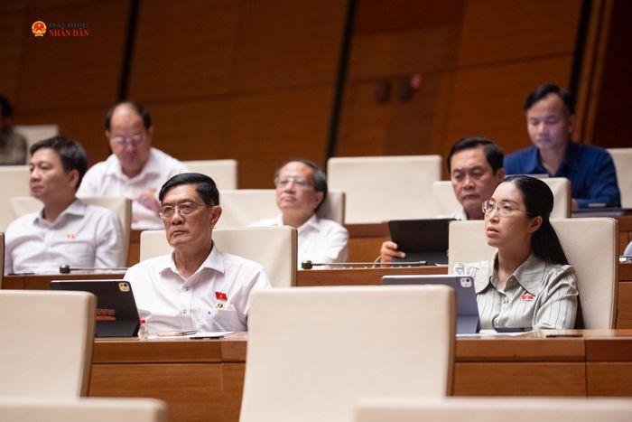 Các đại biểu dự phiên họp