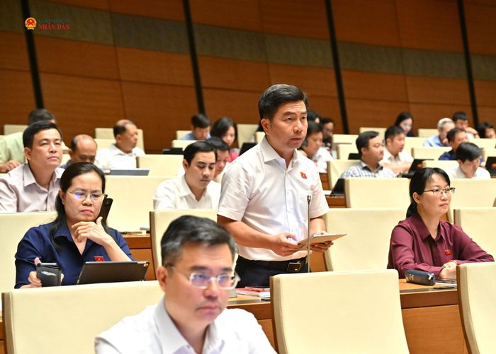 ĐBQH Võ Hoàng Ngân (TP. Hồ Chí Minh) phát biểu