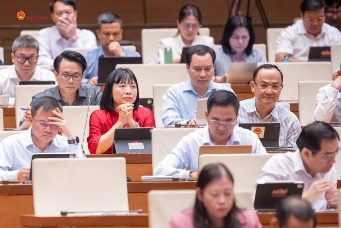 Các đại biểu dự phiên họp