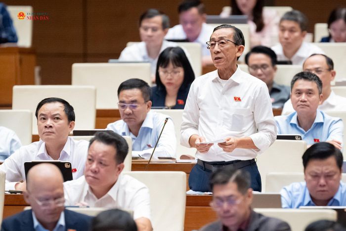 ĐBQH Trần Hoàng Ngân (TP. Hồ Chí Minh) phát biểu