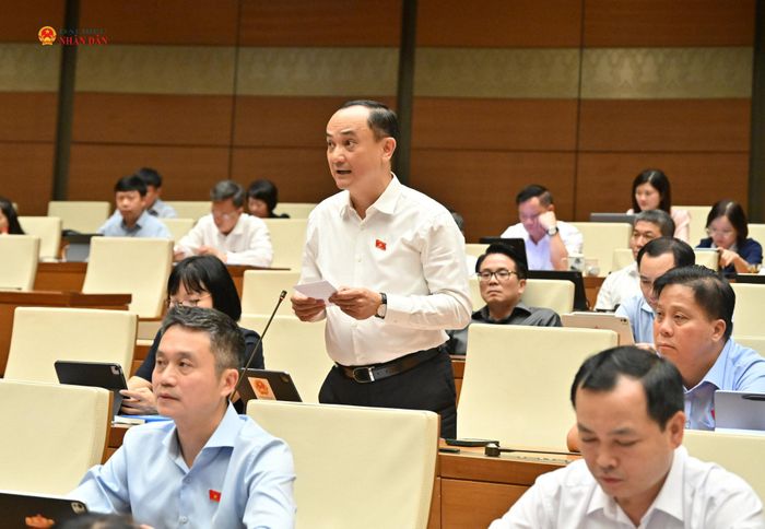 ĐBQH Nguyễn Ngọc Sơn (Hải Phòng) phát biểu. Ảnh: Quang Khánh