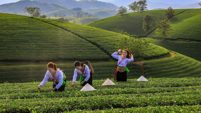 Ông Nguyễn Hoàng Trung cho rằng, cảnh quan thiên nhiên là lợi thế, nhưng con người và văn hóa mới là yếu tố tạo nên sức hút lâu dài.
