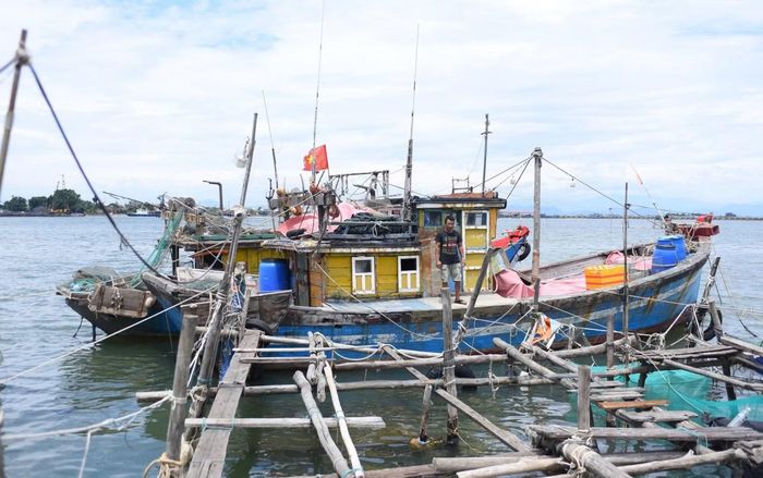Tàu cá không thể ra khơi gây ảnh hưởng đến sinh kế của ngư dân.