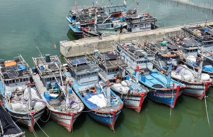 Ngư dân mong mỏi cơ quan chức năng sớm có giải pháp hướng dẫn, giúp đỡ để đăng kiểm tàu cá, giúp tàu sớm vươn khơi trở lại.