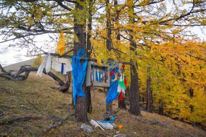 Một bàn thờ mang yếu tố Shaman giáo trong khu rừng gần hồ Khuvsgul, Mông Cổ. (Ảnh: Yury Birukou / Alamy Stock Photo).