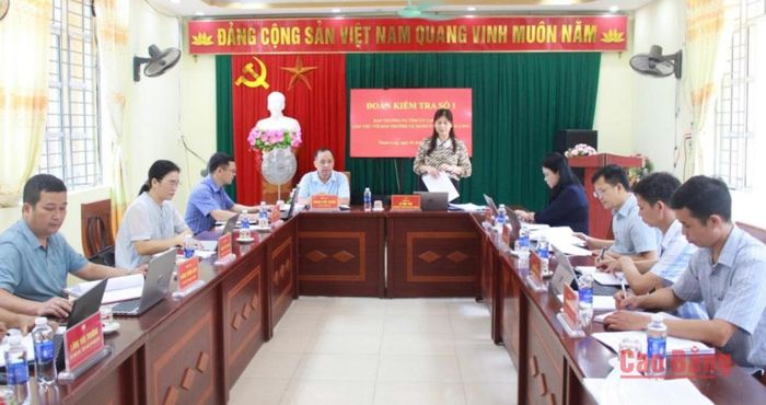 Trưởng Ban Tổ chức Tỉnh ủy Lê Hải Yến phát biểu kết luận buổi làm việc.