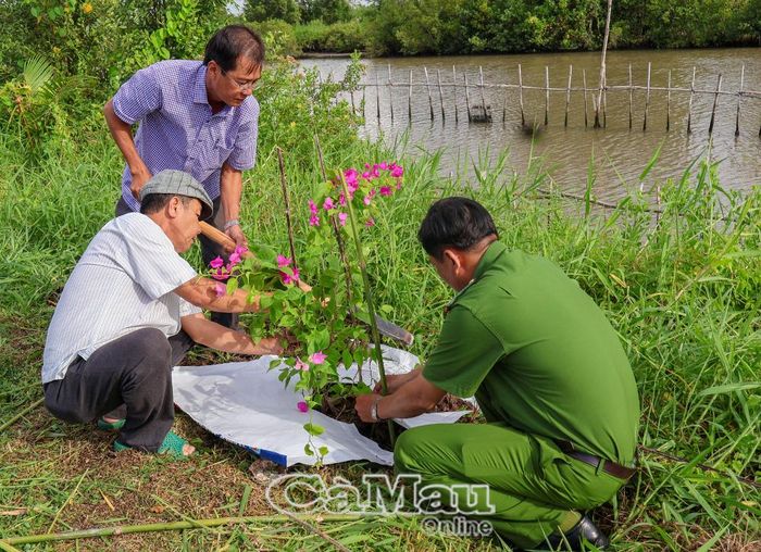Cán bộ, công chức và viên chức xã Phú Mỹ tham gia trồng cây xanh dọc các tuyến đường.