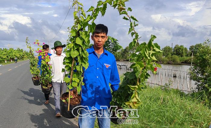  Đoàn viên, thanh niên xã Phú Mỹ hưởng ứng trồng cây xanh, góp phần xây dựng cảnh quan nông thôn.