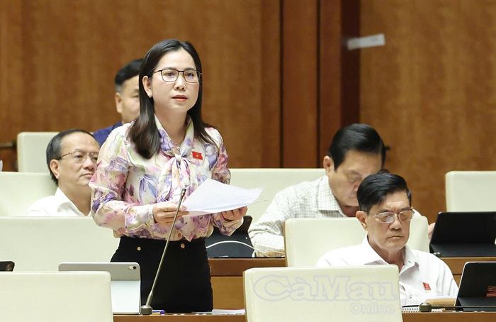  Đại biểu Lê Thị Ngọc Linh (Đoàn ĐBQH tỉnh Cà Mau) phát biểu ý kiến tại phiên thảo luận.