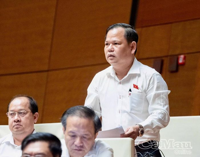  Đại biểu Nguyễn Duy Thanh (Đoàn ĐBQH tỉnh Cà Mau) tham gia đóng góp ý kiến cho dự thảo Luật.