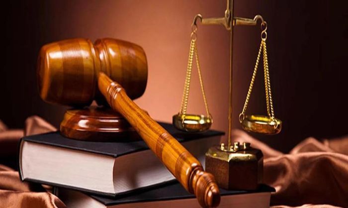 Từ 26/9, bổ sung nhiều chức danh có quyền xử phạt vi phạm hành chính. Ảnh minh họa
