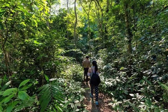 Đây là một trong những khu rừng đặc dụng lớn nhất của Việt Nam, nơi lưu trữ sinh quyển thế giới