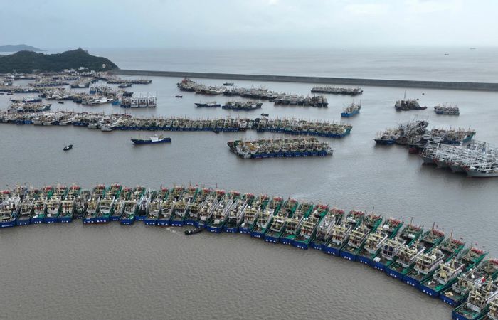 Các tàu đánh cá trú ẩn trước cơn bão Dolphin tại tỉnh Chiết Giang. (Ảnh: AP)