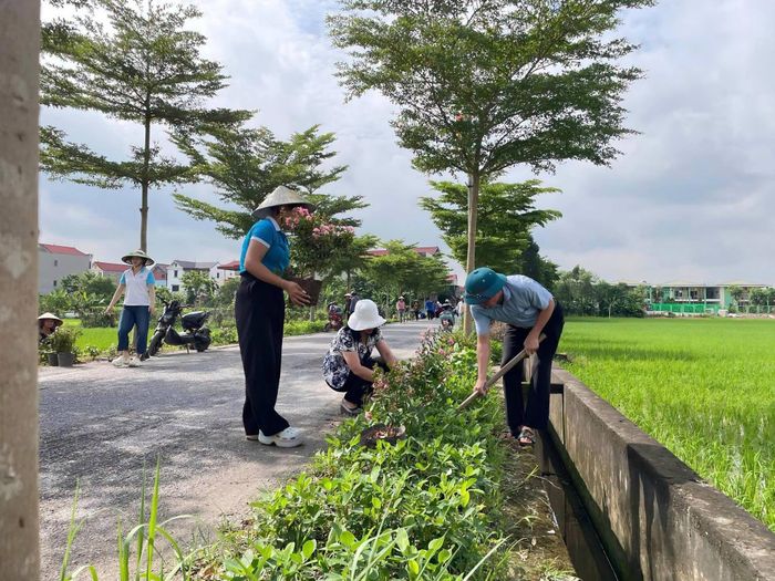 Chi bộ thôn Cổ Miếu trồng cây xanh, trồng hoa, chỉnh trang nhà văn hóa, các tuyến đường trung tâm, khu sinh hoạt cộng đồng và khu di tích. Ảnh: TL
