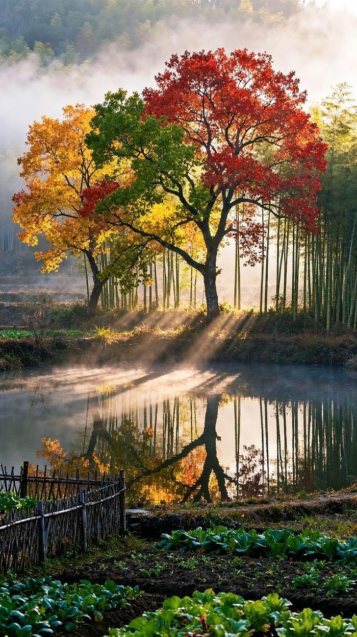Theo tử vi, cuối năm là thời điểm người sinh giờ Thìn có nhiều cơ hội đón nhận vận may. Ảnh minh họa