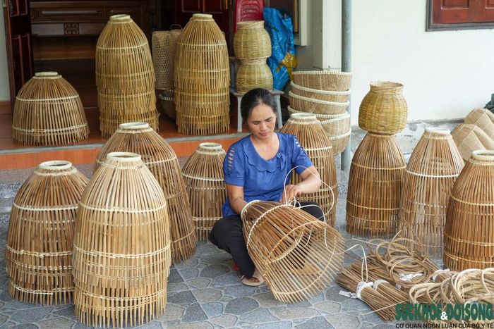 Hiện cả thôn chỉ còn khoảng 10 hộ còn đan nơm, trong khi cách đây khoảng 10 năm có tới 50 - 60 hộ theo nghề. Số người gắn bó với nghề ngày càng ít, phần lớn đều đã lớn tuổi.
