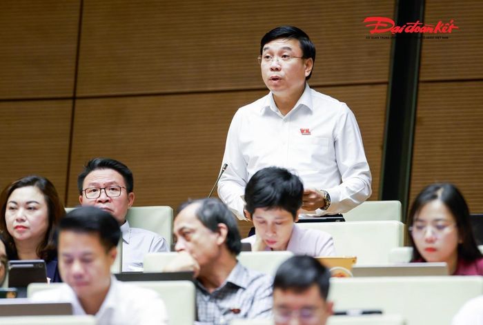 Đại biểu Nguyễn Văn Mạnh phát biểu (Ảnh: Quang Vinh)
