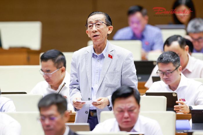 Đại biểu Trần Hoàng Ngân phát biểu (Ảnh: Quang Vinh)