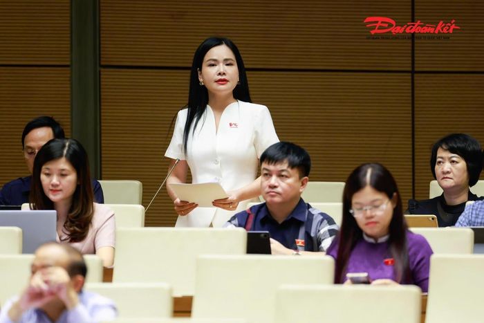 Đại biểu Nguyễn Thị Thanh Bình phát biểu (Ảnh: Quang Vinh)