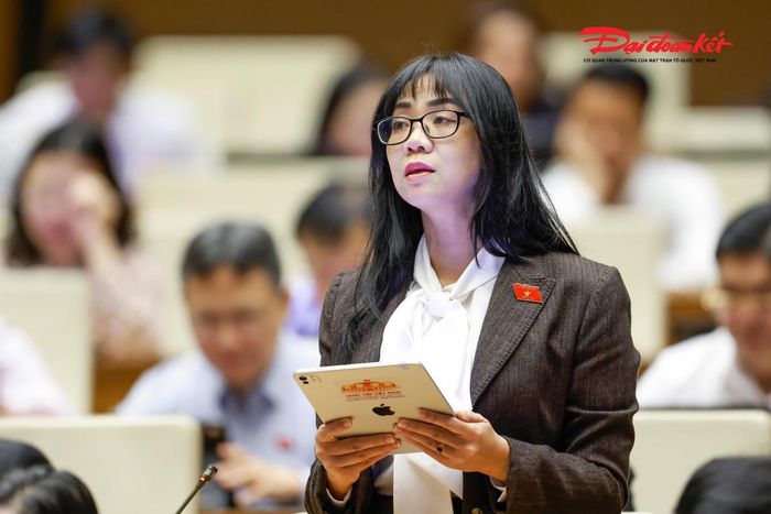 Đại biểu Trịnh Thị Tú Anh phát biểu (Ảnh: Quang Vinh)