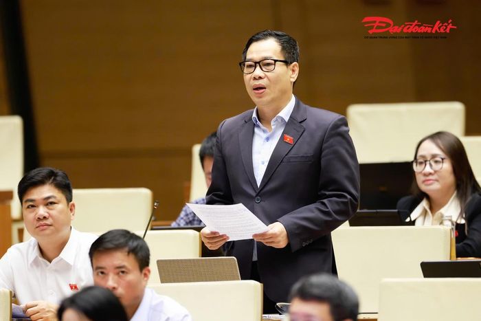 Đại biểu Đỗ Đức Hồng Hà phát biểu (Ảnh: Quang Vinh)