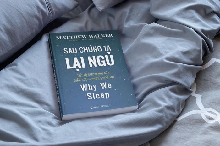 Bản chất của giấc ngủ được tác giả bóc tách trong cuốn sách Sao chúng ta lại ngủ. Ảnh: Hải Đăng Books.