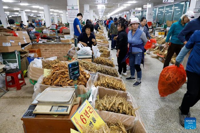  Chợ sâm Geumsan, Hàn Quốc. Ảnh: Xinhua 