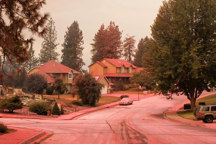 Chất chống cháy phủ kín một khu dân cư ở Spokane, bang Washington (Mỹ) ngày 2/8. Các đám cháy rừng gần Spokane đã thiêu rụi hàng trăm ngôi nhà và công trình. Ảnh: New York Times.