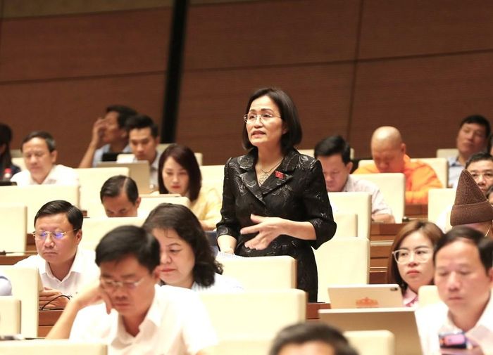 Đại biểu Trần Thị Kim Nhung phát biểu