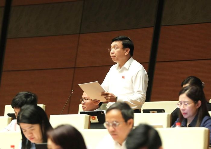 Đại biểu Nguyễn Văn Mạnh phát biểu