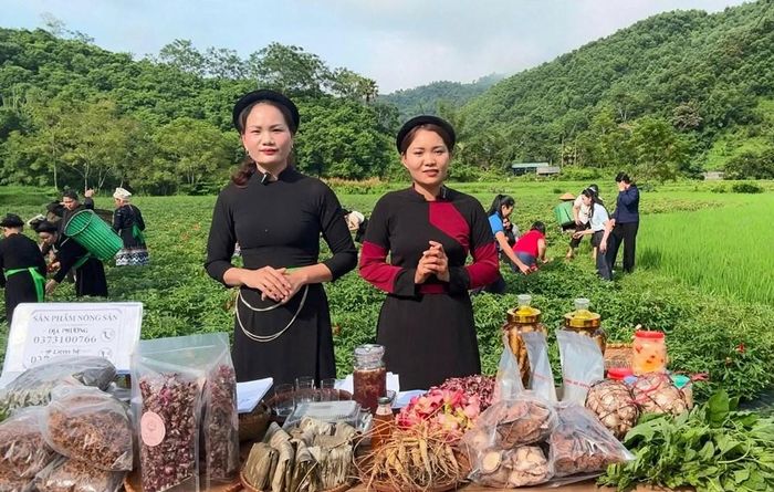 Livestream giới thiệu nông sản tiêu biểu của địa phương đến người tiêu dùng cả nước