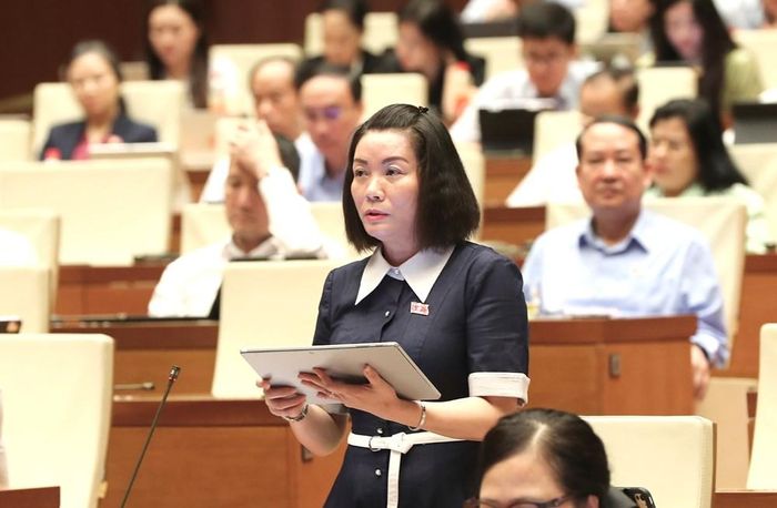 Đại biểu Nguyễn Minh Tâm phát biểu