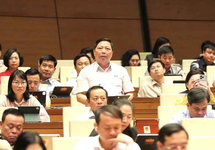Đại biểu Nguyễn Vũ Trung phát biểu