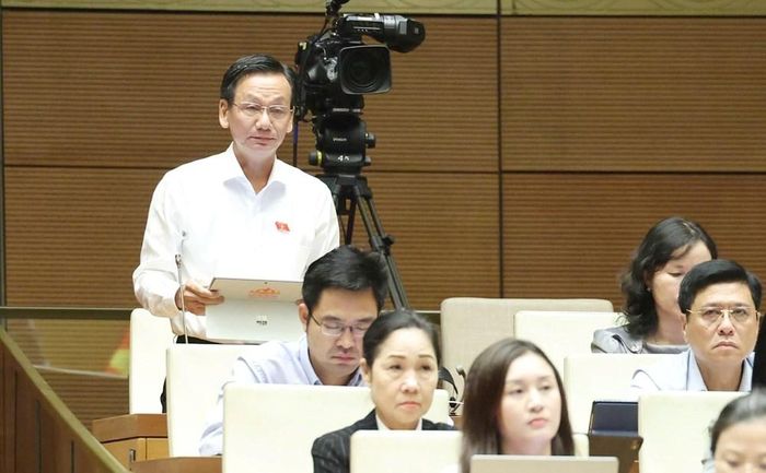 Đại biểu Đoàn Hùng Vũ phát biểu