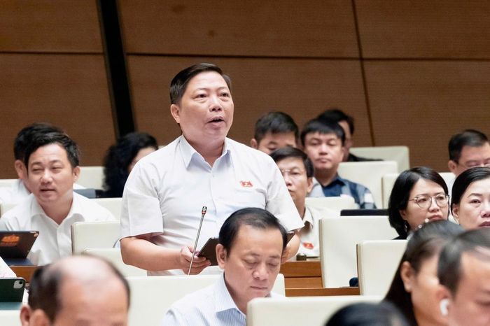 Đại biểu Nguyễn Vũ Trung, Đoàn Thành phố Hồ Chí Minh. Ảnh: VPQH