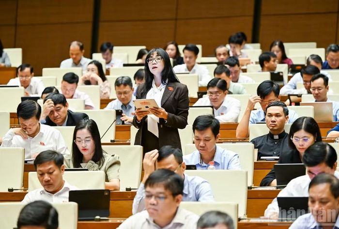 Đại biểu Quốc hội Trịnh Thị Tú Anh. (Ảnh: DUY LINH)