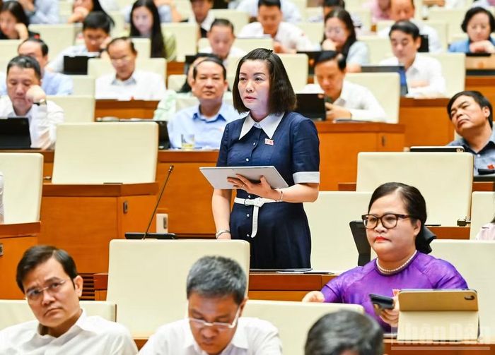 Đại biểu Nguyễn Minh Tâm (Đoàn Quảng Trị).