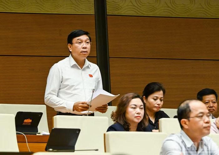 Đại biểu Nguyễn Văn Mạnh (Đoàn Phú Thọ).
