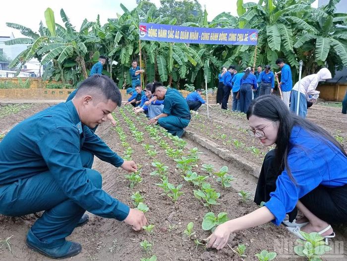 Sinh viên Khoa Sinh-Nông nghiệp-Môi trường chia sẻ kiến thức chăm sóc cây trồng, cải tạo đất và bảo vệ môi trường.