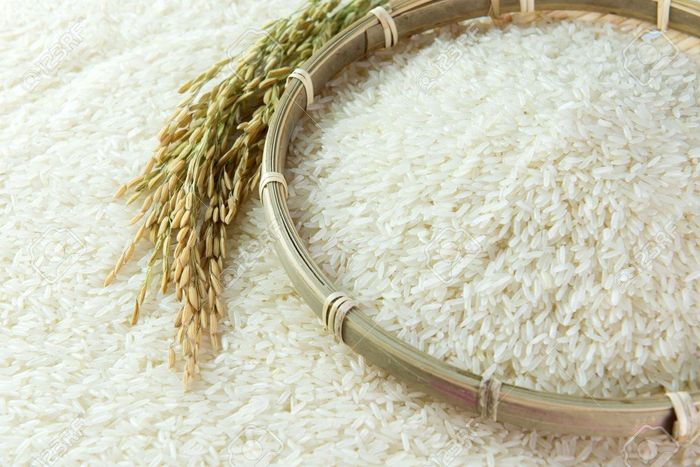 Giá lúa gạo hôm nay tại khu vực Đồng bằng sông Cửu Long ít biến động. Ảnh minh họa: thoibaotaichinhvietnam.vn
