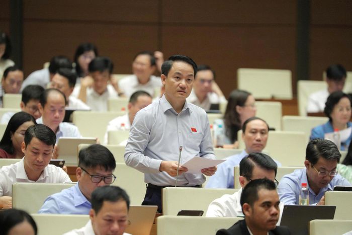  Đại biểu Lê Văn Thế (đoàn Ninh Bình) phát biểu. Ảnh: TRỌNG HẢI
